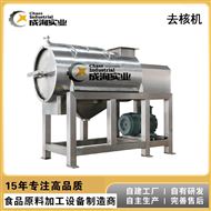 CXP-QH厂家定制 刺梨去皮去核打浆机