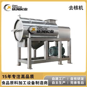 CXP-QH厂家定制 刺梨去皮去核打浆机