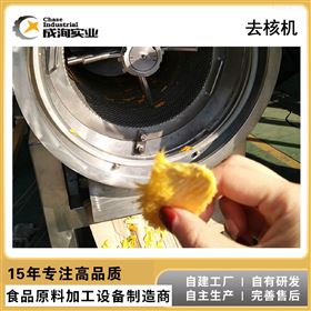 CXP-QH红枣去核打浆机