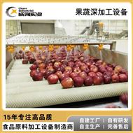 CXP-SCX苹果浓缩汁加工设备 果蔬汁生产线