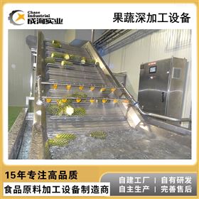 CXP-SCX菠萝果汁加工设备生产线 果蔬加工成套设备