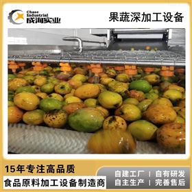 CXP-L果蔬深加工生产线