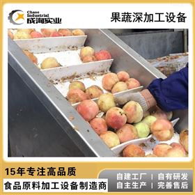 CXP-L果汁果干生产线