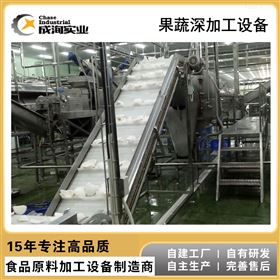 CXP-SCX椰子水全自动加工机械设备生产线 果蔬加工成套设备