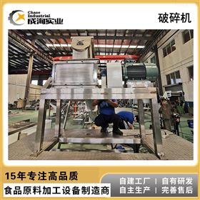 CXP-QH-5T水果果蔬桃子去皮去核破碎机 去核打浆系统
