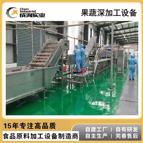 CXP-SCX猕猴桃原汁加工设备生产线 果蔬加工成套设备