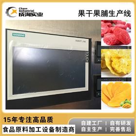 CXL-GG芒果猕猴桃干梨脯加工 果干果脯成套生产线