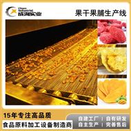 CXL-GG芒果柠檬蔬菜干加工 果干果脯成套生产线