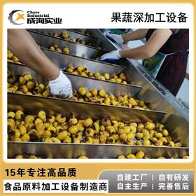 CXP-NFCNFC纯果汁生产线