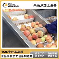 CX-L-GZ-204水果果汁桃子饮品 NFC纯果汁成套生产线