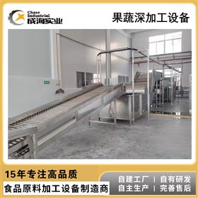 工厂直供 全自动西瓜汁饮料生产线 果蔬汁饮料生产线