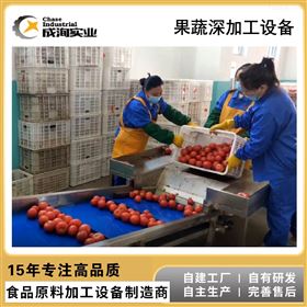 CXP-L-TMT番茄沙司加工设备