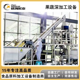 CXP-SCX儿童秋梨膏加工设备生产线 果蔬加工成套设备