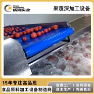 CXP-QX-GP定制 鼓泡式清洗机 水果蔬菜专用清洗设备