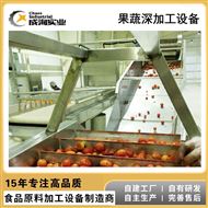 CXP-QX-GP果蔬清洗输送系统 鼓泡清洗机