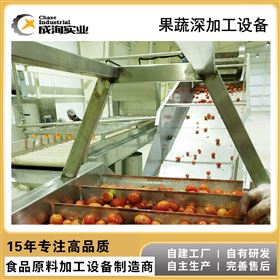 CXP-QX-GP果蔬清洗输送系统 鼓泡清洗机