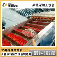 刮板式物料链式提升机