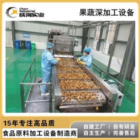 CXP-SCX水果浓缩汁生产线 刺梨原浆加工设备
