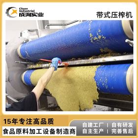 CXP-SCX定制2-10T全自动刺梨汁整线生产设备