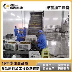 CXP-SCX祛火秋梨膏加工生产机械 果蔬加工成套设备
