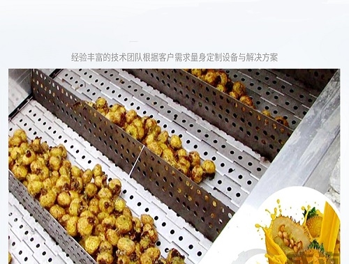 NFC果汁生产线