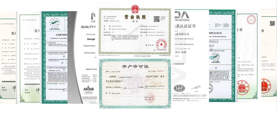 上海成洵 - 40余项<span class=