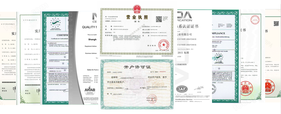 上海成洵 - 40余项<span class=